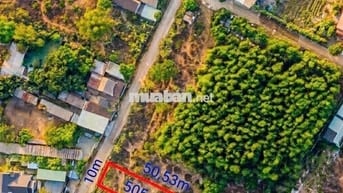 Chủ gửi  500m2(10x50) cách 200m ra Nguyễn Văn Khạ, Tân An Hội, Củ Chi