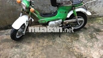 Honda Chaly 78 Xanh lá Nhật Bản