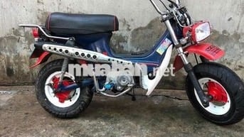 Honda Chaly 81 Đỏ Xanh Trắng