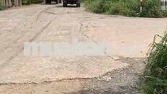 Bán Gấp MT Trần Văn Nghĩa, 300m2 full thổ cư, Giá : 2.5 tỷ TL