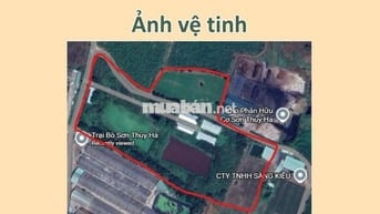 Chuyển Nhượng Trang Trại Heo Quy Mô Lớn (Có Thương Lượng)