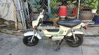 Honda Chaly 1984 Trắng
