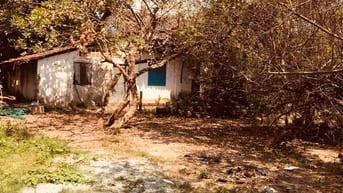 NHÀ SÂN VƯỜN CHO THUÊ - 500 M2