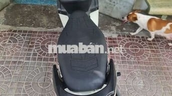 Honda Wave 110 2010 Trắng 93000km