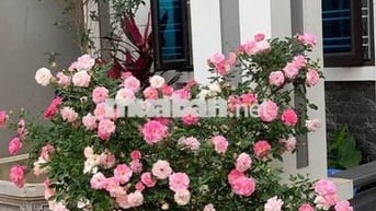Era Town 2 phòng ngủ full nội thất giá 8 triệu/tháng tại quận 7