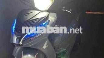 Shark đã tân trang hết k cần sửa