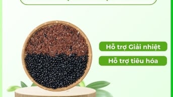 Trà Gạo Lứt Đậu Đen - Trà An Mộc