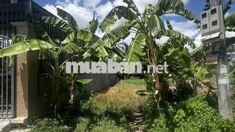 Bán đất hẻm oto đường Phạm Hùng