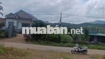 Đất đẹp, siêu rẻ, chỉ 1,7 tỷ bán 2000m², 100m² t.cư. Đất P.03 Bảo Lộc.