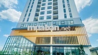 Giỏ hàng căn hộ Aurora, quận 8