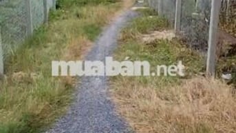 Bán Đất Mặt tiền Đường An Nhơn Tây 2 tỷ9, thổ cư, có thương lượng