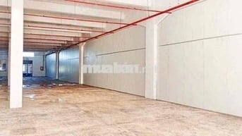Cho thuê kho xưởng tiêu chuẩn, pccc tự động, đường xe cont giá tốt