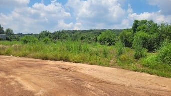 Công ty đấu giá hợp danh Sao Việt 