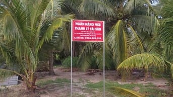 Công ty đấu giá hợp danh Sao Việt 