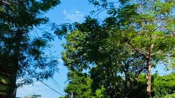 BÁN NHÀ MẶT PHỐ KHƯƠNG ĐÌNH - DÒNG TIỀN ỔN ĐỊNH - KINH DOANH SẦM UẤT