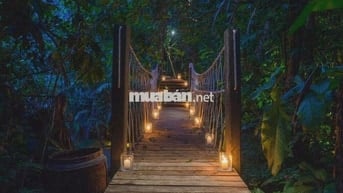 QUỸ ĐẤT NGHỈ DƯỠNG MẶT HỒ TRUNG TÂM TÀ ĐÙNG - HƠN 1HA - 75M MẶT NƯỚC