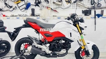 Honda MSX 125 Trắng, Đỏ Zin YSS bình dầu rời