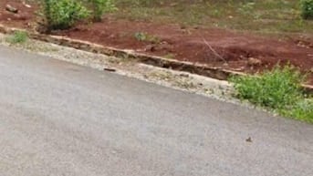 Chỉ 280 triệu, sở hữu ngay lô đất  250mv