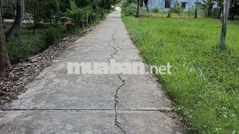 Bán đất Mỹ Hòa, Ba Tri, Bến Tre – Giá chỉ 350 triệu