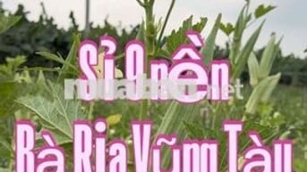 lô đất thổ cư, sổ sẵn, bán sỉ cho khách đầu tư, mặt tiền đường nhựa