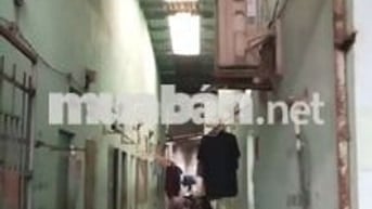 cần bán dãy trọ 15 phòng  310m2 . ấp mới 1 tô Ký hóc môn ..