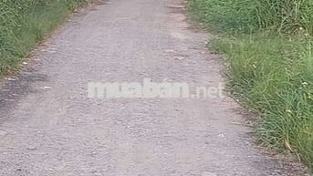 BÁN 525 M2 ĐẤT TRỒNG CÂY LÂU NĂM LÊ VĂN LƯƠNG , NHƠN ĐỨC, NHÀ BÈ