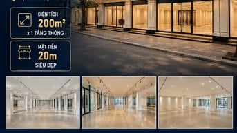 Cho thuê MBKD tại Tràng Tiền mặt tiền khủng 20m