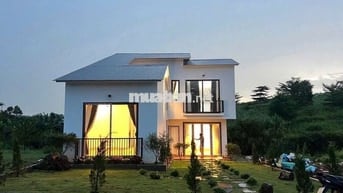 Bungalow Nghỉ Dưỡng View Đồi Chè Tâm Châu, Sổ Sẵn, Công Chứng