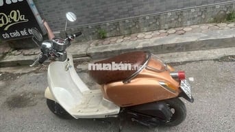 Honda Scoopy Crea 50cc Vàng kem