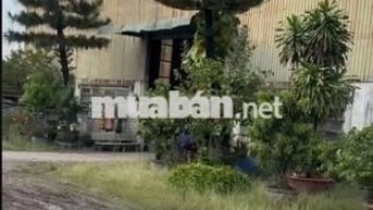 BÁN 10.000M2 KHO XƯỞNG MT TRẦN ĐẠI NGHĨA, HUYỆN BÌNH CHÁNH.