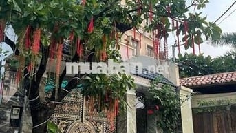 Biệt thự mini sân vườn 200m2 4 Tầng 1/ Hà Huy Giáp Ngay CĐ Điện Lực