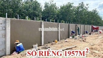 ĐẤT QUẬN 7_SỔ RIÊNG, SANG TÊN NGAY
- Rộng 17m, nở hậu 36m
- Dài 56m