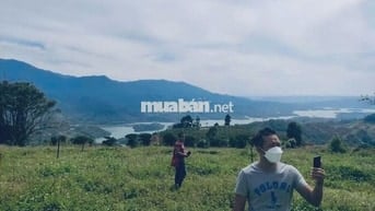 KHU ĐẤT FARMSTAY NHÌN THUNG LŨNG TÀ ĐÙNG - HƠN 11.500M² - 2 SỔ HỒNG