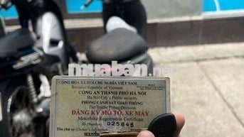Piaggio Zip 2011 Xám