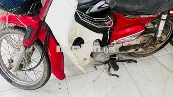 Honda Dream 2024 Đỏ trắng