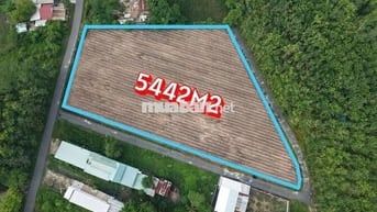 Bán đất 3MT An Nhơn Tây - Huyện Củ Chi