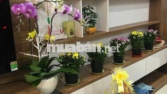nhà 95M2 ,hẻm 16m ,4 phòng ngủ,KDC  Dương Hồng,P Bình Hưng,TP.HCM