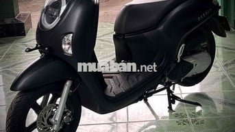 Honda Scoopy 110cc 2025 Đen Mới 99%