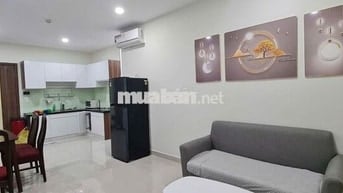 Cần cho thuê căn hộ chung cư Topaz Elite D2B