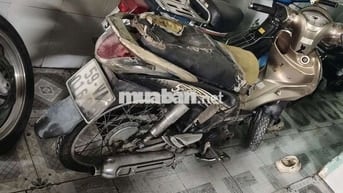 SYM Angela 50cc Vàng đồng