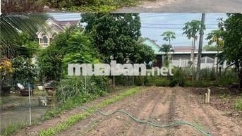 Đường ĐT 741 (quốc lộ 14), Phường Chánh Phú Hòa, Thị xã Bến Cát, Bình