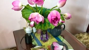 Trà bông sen tươi Liên Hoa Tây Hồ