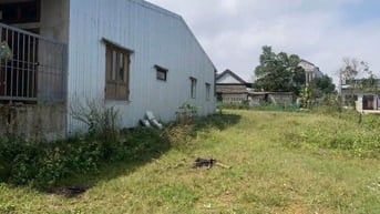 Bán lô đất Thuỷ Phương cách đường Giáp Hải 300m giá chỉ 530tr