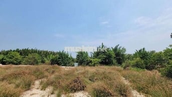 Bán đất Lý Nhơn - Cần Giờ (ngay khu nhà yến cầu Vàm Sát)