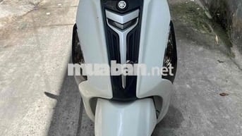 Yamaha Grande Trắng