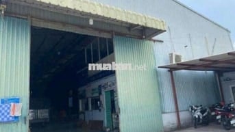 Cho thuê kho xưởng Vườn Lài An Phú đông quận 12