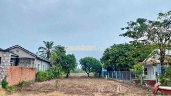 Đất An Phú, KCN Trảng Bàng 7x33 241m2, 900 triệu, SỔ HỒNG RIÊNG