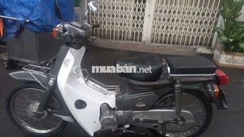 Honda Cub Trắng, Xám