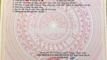 Đất Đẹp 100m2 Thổ Cư Chỉ 1tỷ750Mặt Tiền,Trung Tâm thị Trấn Củ Chi, SHR