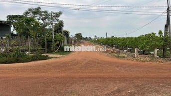 314m mặt tiền tại Tân Hưng - Tân Châu - Tây Ninh